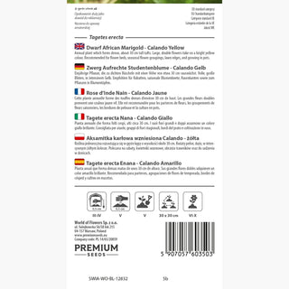 Tagete erecta Nana - Calando Giallo - Fioritura tutta l’estate - Tagetes erecta