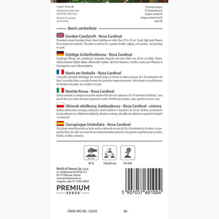 Iberide Rossa - Rosa Cardinal - Ideale per bordure, aiuole e vaso - Iberis umbellata