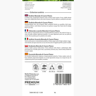 Indivia Scarola - Bionda A Cuore Pieno - Varietà italiana dal gusto delicato - Cichorium endivia