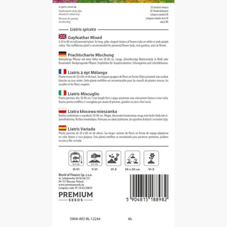 Liatris - Miscuglio - Facile da coltivare, resistente alla siccità, per bordure e bouquet - Liatris spicata